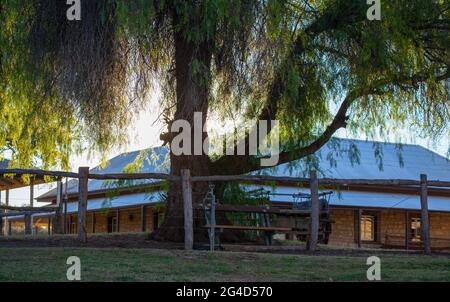 Die alte Telegraph Station (ca. 1871) an der Alice Springs Telegraph Station Historical Reserve Stockfoto