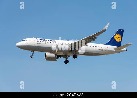 Das Lufthansa Airbus A320NEO-Flugzeug D-AINC kommt im Finale an und landet am Flughafen London Heathrow, Großbritannien. Deutsche Fluggesellschaft. Landung bei Ankunft Stockfoto