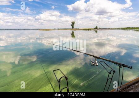 Landschaftlich reizvoller Blick auf die Angelrute auf dem hölzernen Pier, der grünen Algen, Unkrautsee oder Flußoberfläche blüht, und wunderschöne Himmelswolken, die sich im Wasser spiegeln Stockfoto