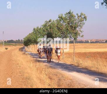 PEREGRINOS HACIENDO EL CAMINO DE SANTIAGO. Lage: AUSSEN. CALZADA DEL COTO. LEON. SPANIEN. Stockfoto