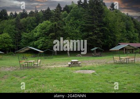 Bolu, am Abant Lake, Picknicktische auf der Wiese und ein herrlicher Waldblick dahinter Stockfoto