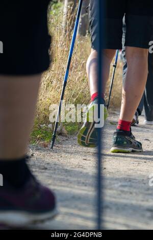 Beine von Sportlern, die Nordic Walking in der Casa de Campo in Madrid, Spanien, machen. Europa. Vertikale Fotografie Stockfoto