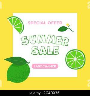 Sommer Sale Banner mit Ilime - Last Chance Konzept. Vektorgrafik im flachen Stil Stock Vektor