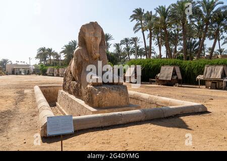 Alabaster Sphinx aus Memphis. Die Sphinx von Memphis ist eine steinerne Sphinx, die sich in der Nähe der Überreste von Memphis, Ägypten, befindet. Stockfoto