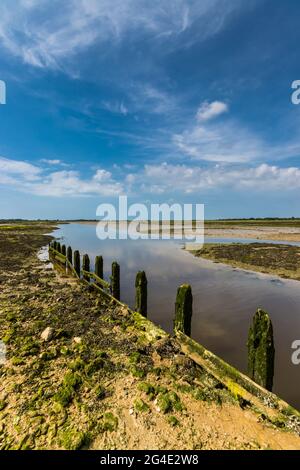 Ebbe am Hafen von Pagham in der Nähe von Bognor Regis, West Sussex, Großbritannien Stockfoto