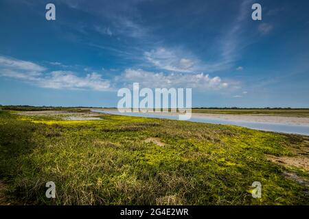 Ebbe am Hafen von Pagham in der Nähe von Bognor Regis, West Sussex, Großbritannien Stockfoto