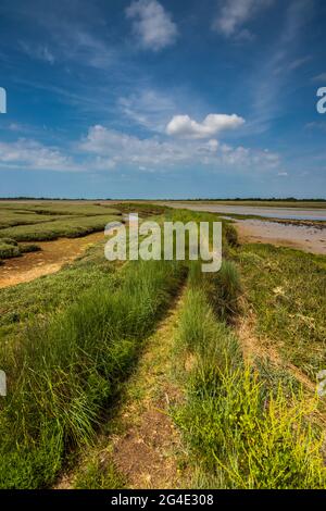 Ebbe am Hafen von Pagham in der Nähe von Bognor Regis, West Sussex, Großbritannien Stockfoto