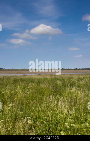 Ebbe am Hafen von Pagham in der Nähe von Bognor Regis, West Sussex, Großbritannien Stockfoto