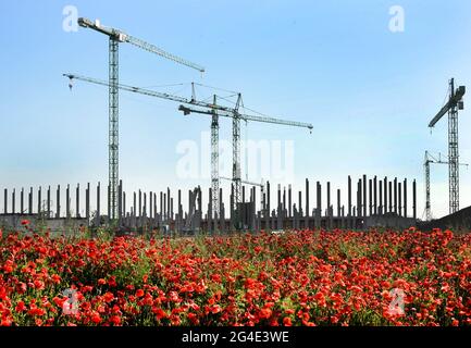 Leipzig, Deutschland. Juni 2021. Hinter roten Mohnblumen am Stadtrand von Leipzig ist die große Baustelle des Nivea-Herstellers Baiersdorf zu sehen. Hier im Stadtteil Seehausen entsteht ein 55 Hektar großes Industriegebiet, wo bis 2022 ein neues Werk der Bayersdorf AG errichtet werden soll. Der Standort ist für die Ansiedlung weiterer Unternehmen der Kosmetikindustrie geplant. Quelle: Waltraud Grubitzsch/dpa-Zentralbild/ZB/dpa/Alamy Live News Stockfoto