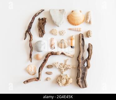 Zusammensetzung aus verschiedenen Holzzweigen, Steinen, Muscheln und anderen Materialien, die vom Meer auf weißem Grund an Land gewaschen wurden Stockfoto