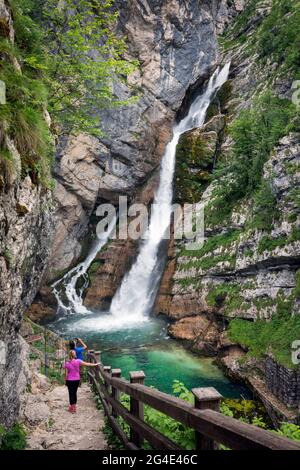 Nationalpark Triglav, Sloweniens.  Savica-Wasserfall in Bohinj See eingespeist. Stockfoto