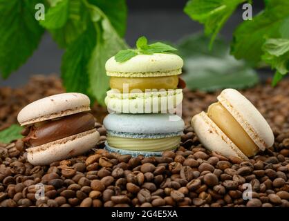 Stapel von mehrfarbigen Macarons liegt auf gerösteten Kaffeebohnen, hinter grünen Zweige von Minze, köstliche und köstliche Dessert Stockfoto