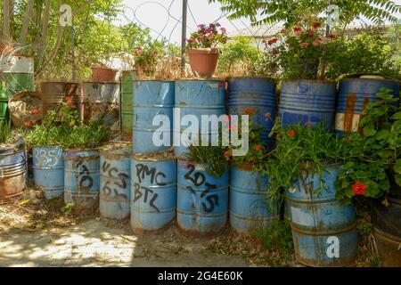 Nikosia, Zypern - 16. Mai 2021: Barrel als Barriere an der Grenze 'Green Line' in Nikosia, Zypern Stockfoto