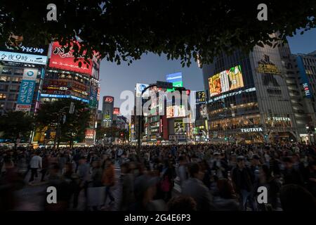 Menschen am Shibuya Scramble Crossing in Tokio, Japan Stockfoto