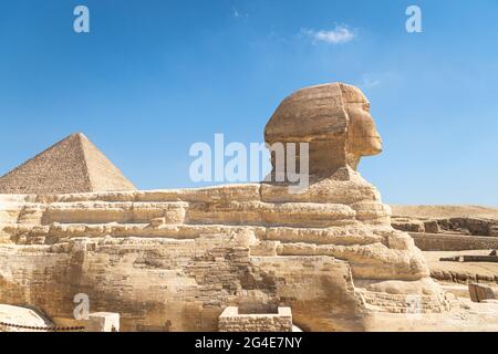 Die ikonische Sphinx-Schnitzerei neben den Großen Pyramiden in Gizeh, Ägypten. Die große alte Sphinx auf blauem Hintergrund. Seitenansicht Stockfoto