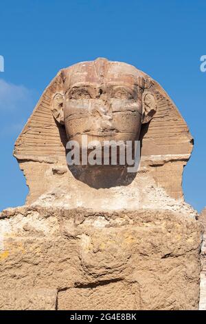 Sphinx Ägypten Porträt. Porträt der Großen Sphinx von Ägypten schließen. Ägypten, Gizeh. Vertikales Foto Stockfoto