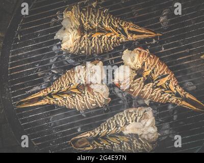 Spieß Hummer gekocht und gegrillt auf einem Grill in Ein Garten Stockfoto