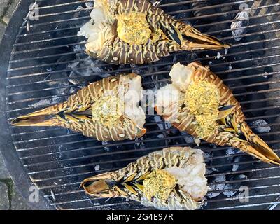 Spieß Hummer gekocht und gegrillt auf einem Grill in Ein Garten Stockfoto