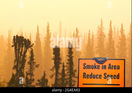 Waldbrände sind immer häufiger als steigende Temperaturen und trockener Witterung in vielen Bereichen der Welt bietet ideale Voraussetzungen für die Verbrennung. Stockfoto