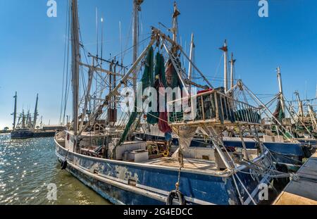 Garnelenboote im Hafen in Palacios, Texas, USA Stockfoto