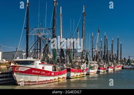 Garnelenboote im Hafen in Palacios, Texas, USA Stockfoto