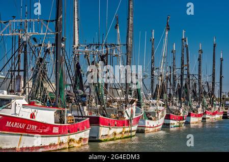 Garnelenboote im Hafen in Palacios, Texas, USA Stockfoto