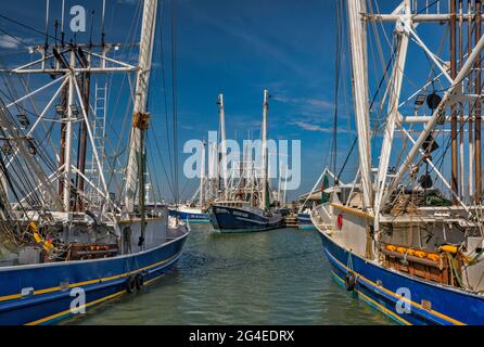 Garnelenboote im Hafen in Palacios, Texas, USA Stockfoto