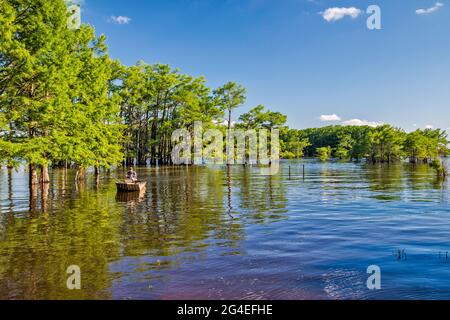 Boote, kahle Zypressen im Frühling, Potter's Point am Caddo Lake, Piney Woods Region, Texas, USA Stockfoto