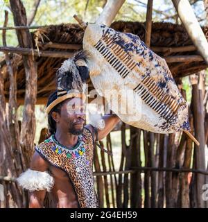 Lesedi Cultural Village, Südafrika - 4. November 2106: Zulu-Kriegerdemonstration. Tribesman in Zulu Kostüm aus Fellen mit Perlen Dekoration, ein fe Stockfoto