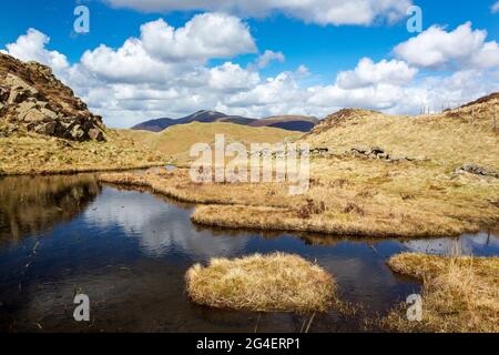 Blick auf Skiddaw von High Rigg über St. Johns im Valle, Lake District, Großbritannien. Stockfoto