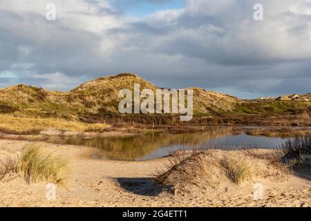 Dünenlandschaft in Bergen aan Zee, Noord-Holland, Niederlande, Europa Stockfoto