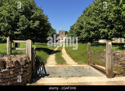 Strecke zwischen einer Allee von Bäumen, die zu einer englischen Dorfkirche in den Cotswold Hills in Gloucestershire führt Stockfoto