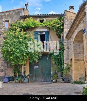 Collias, Provence, Frankreich 06.21.21 Rustikales Steingebäude mit grünen Doppel-Holztüren. Fenster und Balkon mit blauen Fensterläden. Pflanzen klettern Wände Stockfoto