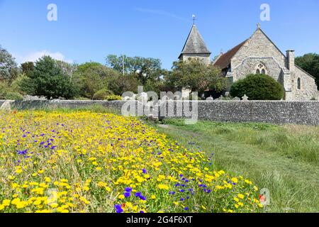 Blühende Wildblumenwiese auf einem Feld neben der örtlichen Pfarrkirche St. Peter und St. Paul, West Wittering, Chichester, West Sussex, England Stockfoto