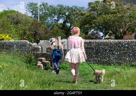 Zwei Hunde werden an einem Sommertag im Juni auf einem öffentlichen Fußweg durch das Dorf West Wittering, Chichester, West Sussex, England, geführt Stockfoto