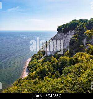 Kreidefelsen mit Buchenwald an der Ostseeküste, Stubbenkammer, Rügen, Mecklenburg-Vorpommern, Deutschland Stockfoto