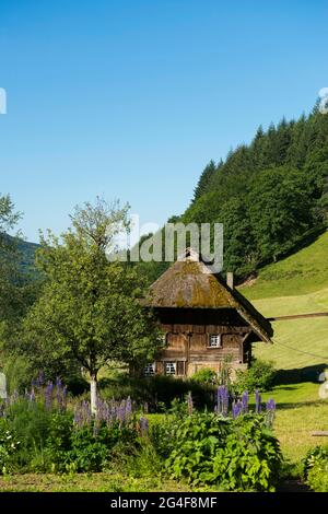 Reetmühle mit Hüttengarten, Oberprechtal, bei Elzach, Schwarzwald, Baden-Württemberg, Deutschland Stockfoto