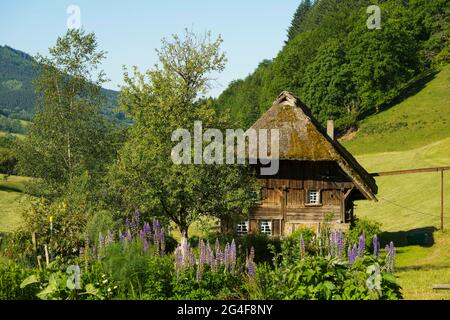 Reetmühle mit Hüttengarten, Oberprechtal, bei Elzach, Schwarzwald, Baden-Württemberg, Deutschland Stockfoto