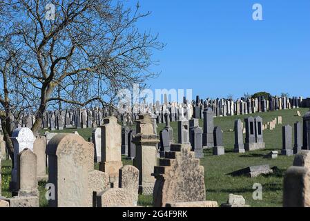 Grabsteine auf dem Alten Jüdischen Friedhof seit 1432, Rödelsee, Unterfranken, Bayern, Deutschland Stockfoto