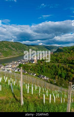 Stadt der Türme und Weine, historische Stadt Oberwesel, UpperMittelrheintal, UNESCO-Weltkulturerbe, Rheinland-Pfalz, Deutschland Stockfoto