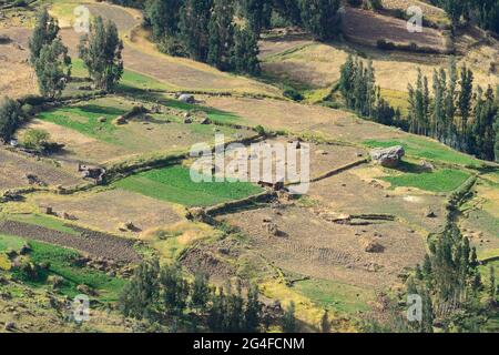 Geerntete Felder in Valle Sagrado, Pisac, Region Cusco, Provinz Urubamba, Peru Stockfoto