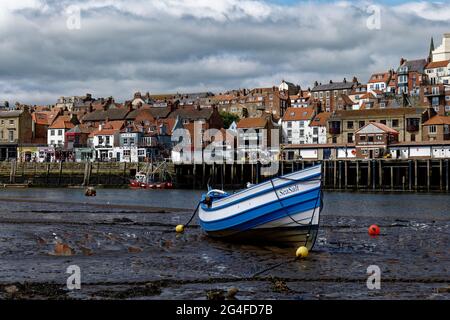 Schönes blauweißes traditionelles Holzfischerboot, das auf dem Bett des Flusses Esk in Whitby Harbour an der Nordostküste Englands sitzt Stockfoto