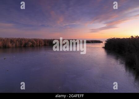 Fischerhütte, Holzhütte, Schilf (Phragmites australis), Schilf, Gräser, Frost, Morgenglühen, Federsee, Bad Buchau, Oberschwaben Stockfoto