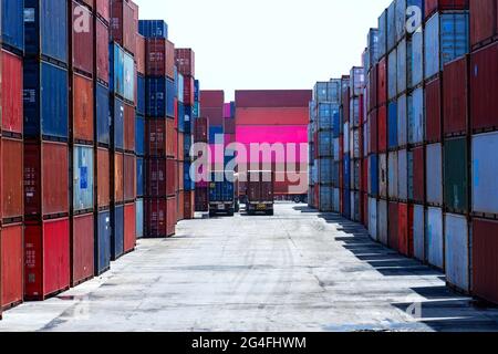 Containerflotte für den Import/Export von Fracht in die Werft Seefracht der Container Shipping Industry Sea Freight Distribution Yard Trade und Transporta Stockfoto