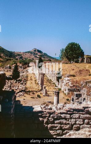 Ephesus - Ruinen einer antiken Stadt in Izmir, Türkei. Basilica Stoa, zwischen Bouleuterion und Oberem Gymnasium. Archivscan von einem Dia. Oktober 1985. Stockfoto