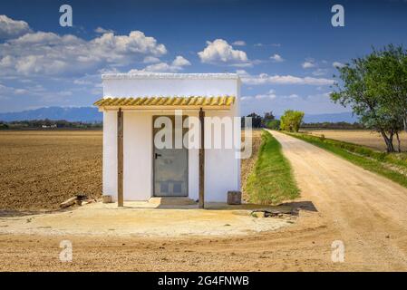 Bilder der Insel Buda im Ebro-Delta (Tarragona, Katalonien, Spanien) ESP: Imágenes de la isla de Buda del Delta del Ebro (Tarragona, Cataluña) Stockfoto