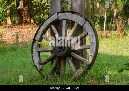 Ein altes Holzrad im Park des Wanagama Forest, Yogyakarta, Indonesien Stockfoto