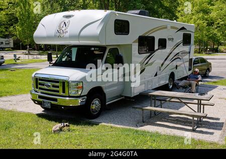 Klasse C Reisemobil, Phantom by Nexus, grasbewachsener Campingplatz, Mann im Stuhl, Katze an der Leine, Bäume, Picknicktisch, Camping, Freizeitfahrzeug, Reisen, Urlaub Stockfoto