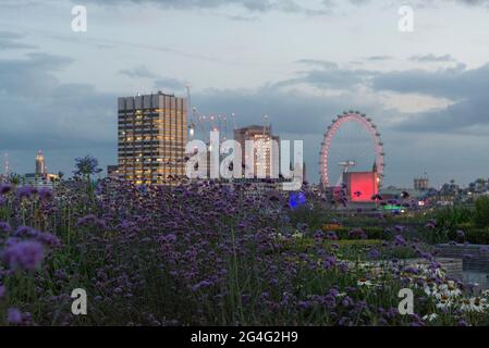 Der Dachgarten Hachette mit Blick auf die Themse in London, England Stockfoto