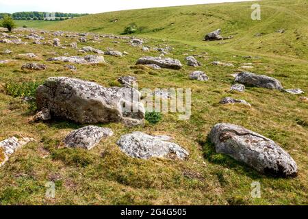 Sarsensteine bei Gray Wethers auf Fyfield Down in Witshire UK Quelle der Megaliths in den nahe gelegenen Avebury Steinkreisen Stockfoto